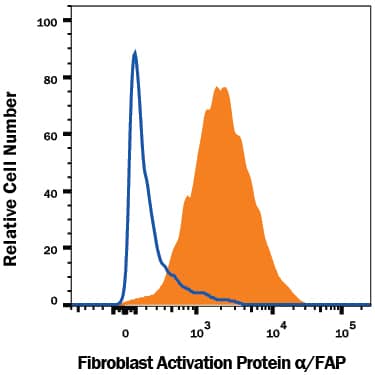 WI-38 human lung fibroblast cell line was stained with Mouse Anti-Human Fibroblast Activation Protein a/FAP PE-conjugated Monoclonal Antibody (Catalog # FAB3715P, filled histogram) or isotype control antibody (IC002P, open histogram). View our protocol for Staining Membrane-associated Proteins.