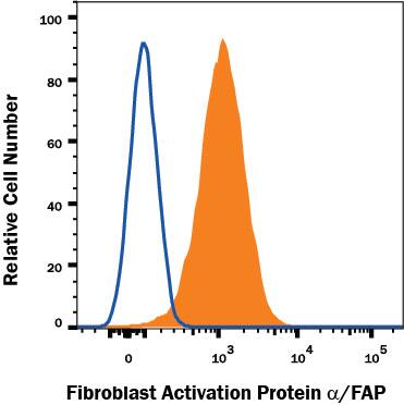 WI-38 human lung fibroblast cell line was stained with Mouse Anti-Human Fibroblast Activation Protein alpha /FAP Alexa Fluor® 750-conjugated Monoclonal Antibody (Catalog # FAB3715S, filled histogram) or isotype control antibody (Catalog # IC002S, open histogram). View our protocol for Staining Membrane-associated Proteins.
