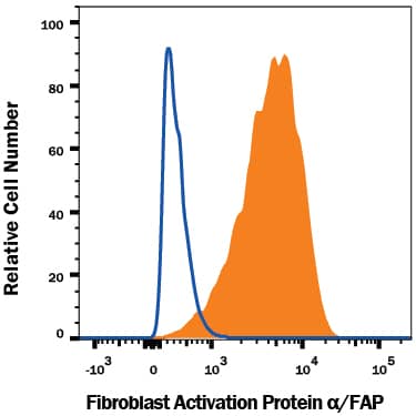 WI-38 human lung fibroblast cell line was stained with Mouse Anti-Human Fibroblast Activation Protein a/FAP Monoclonal Antibody (Catalog # MAB3715, filled histogram) or isotype control antibody (Catalog # MAB002, open histogram), followed by Phycoerythrin-conjugated Anti-Mouse IgG Secondary Antibody (Catalog # F0102B). View our protocol for Staining Membrane-associated Proteins.