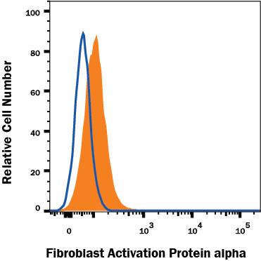 C2C12 mouse myoblast cell line was stained with Rat Anti-Mouse Fibroblast Activation Protein alpha/FAP Monoclonal Antibody (Catalog # MAB9727, filled histogram) or isotype control antibody (Catalog # MAB005, open histogram), followed by Phycoerythrin-conjugated Anti-Rat IgG Secondary Antibody (Catalog # F0105B). View our protocol for Staining Membrane-associated Proteins.