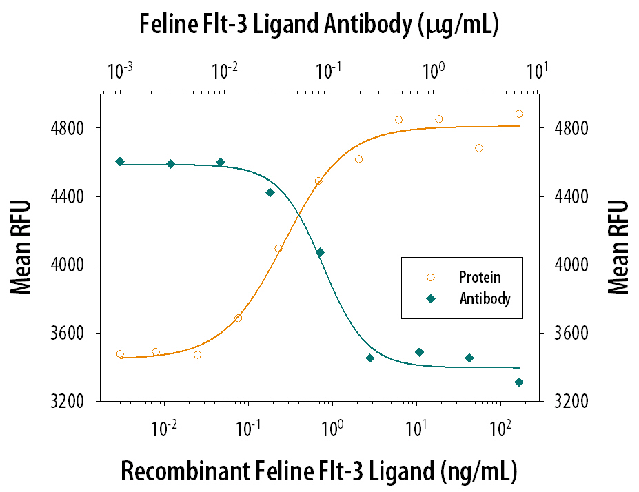 Recombinant Feline Flt-3 Ligand/FLT3L (Catalog # 2467-FL) stimulates proliferation in BaFlt3 mouse pro-B cell line transfected with mouse Flt-3 in a dose-dependent manner (orange line). Proliferation elicited by Recombinant Feline Flt-3 Ligand/FLT3L (2 ng/mL) is neutralized (green line) by increasing concentrations of Goat Anti-Feline Flt-3 Ligand/FLT3L Antigen Affinity-purified Polyclonal Antibody (Catalog # AF2467). The ND50 is typically 0.1-0.4 µg/mL.
