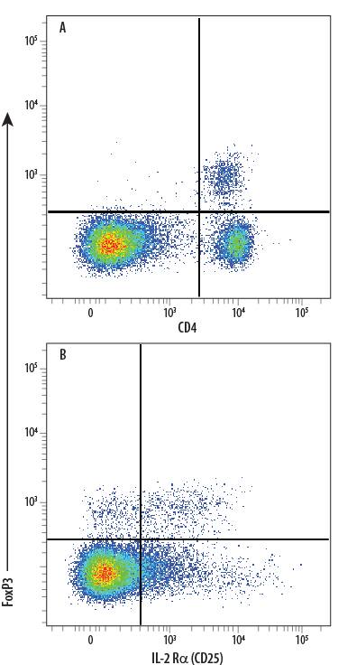 C57BL/6 mouse splenocyte natural regulatory T cells (Tregs) were surface stained with (A) Rat Anti-Mouse CD4 PE-conjugated Monoclonal Antibody (Catalog # FAB554P) and (B) Rat Anti-Mouse IL-2 Ra (CD25) PE-conjugated Monoclonal Antibody (Catalog # FAB2438P) followed by intracellular staining using Rabbit Anti-Human/Mouse FoxP3 APC-conjugated Monoclonal Antibody (Catalog # IC8214A). To facilitate intracellular staining, cells were fixed and permeabilized with FlowX FoxP3 Fixation & Permeabilization Buffer Kit (Catalog # FC012). Cells were gated on lymphocytes.