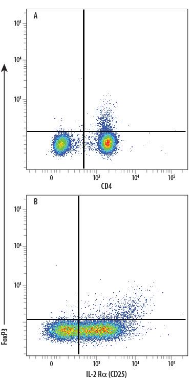 Human peripheral blood mononuclear cell (PBMC) natural regulatory T cells (Tregs) were surface stained with (A) Mouse Anti-Human CD4 Fluorescein-conjugated Monoclonal Antibody (Catalog # FAB3791F) and (B) Mouse Anti-Human IL-2 Ra (CD25) PE-conjugated Monoclonal Antibody (Catalog # FAB1020P), followed by intracellular staining using Rabbit Anti-Human/Mouse FoxP3 APC-conjugated Monoclonal Antibody (Catalog # IC8214A). To facilitate intracellular staining, cells were fixed and permeabilized with FlowX FoxP3 Fixation & Permeabilization Buffer Kit (Catalog # FC012). Cells were gated on lymphocytes