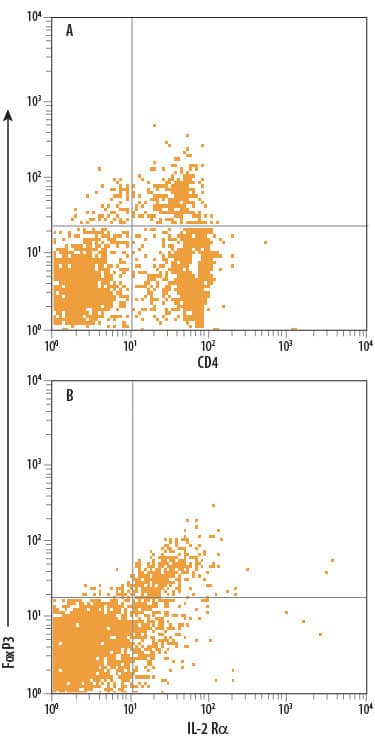 Human peripheral blood mononuclear cells (PBMCs) were stained with Goat Anti-Human/Mouse/Rat FoxP3 APC-conjugated Antigen Affinity-purified Polyclonal Antibody (Catalog # IC3240A) and either (A) Mouse Anti-Human CD4 PerCP-conjugated Monoclonal Antibody (Catalog # FAB3791C) or (B) Mouse Anti-Human IL-2 Ra PE-conjugated Monoclonal Antibody (Catalog # FAB1020P). Quadrant markers were set based on control antibody staining (Catalog # IC108A).