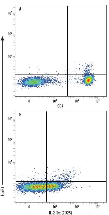 Human peripheral blood mononuclear cell (PBMC) natural regulatory T cells (Tregs) were surface stained with (A) Mouse Anti-Human CD4 PE-conjugated Monoclonal Antibody (Catalog # FAB3791P) and (B) Mouse Anti-Human IL-2 Ra (CD25) APC-conjugated Monoclonal Antibody (Catalog # FAB1020A), followed by intracellular staining using Rabbit Anti-Human/Mouse FoxP3 Alexa Fluor® 488-conjugated Monoclonal Antibody (Catalog # IC8214G). To facilitate intracellular staining, cells were fixed and permeabilized with FlowX FoxP3 Fixation & Permeabilization Buffer Kit (Catalog # FC012). Cells were gated on lymphocytes.