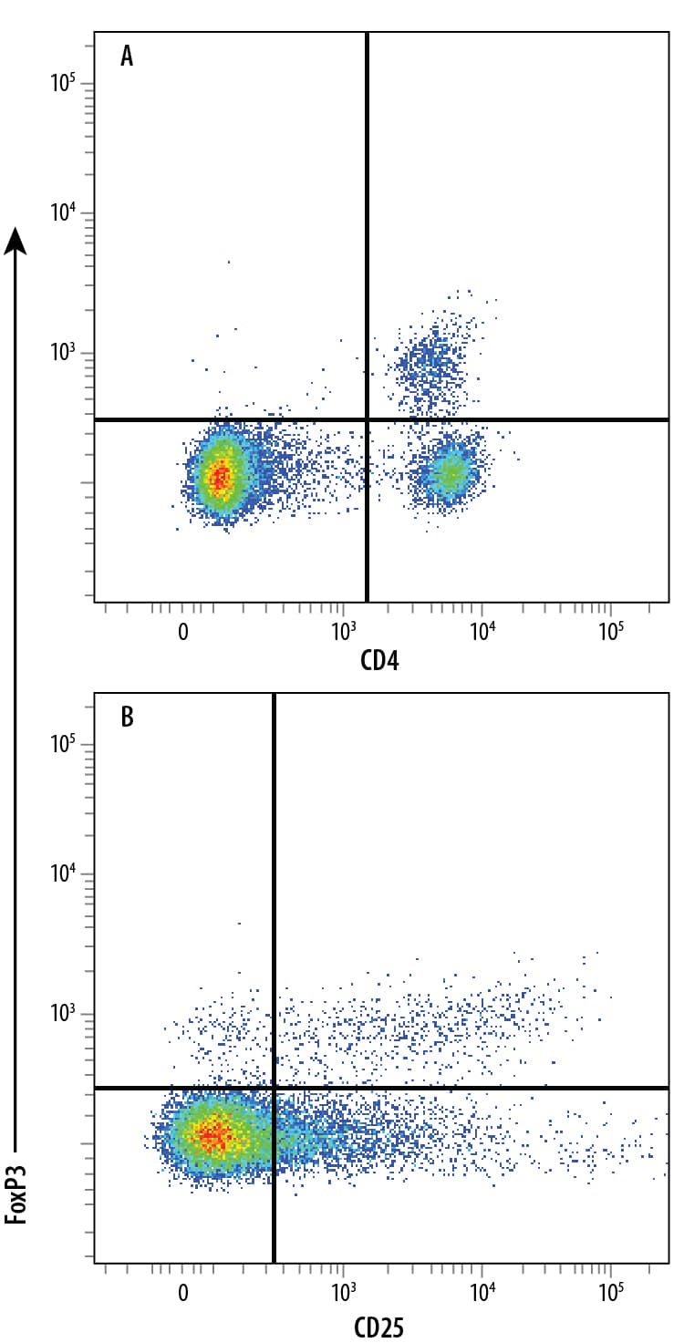 C57BL/6 mouse splenocyte natural regulatory T cells (Tregs) were surface stained with (A) Rat Anti-Mouse CD4 Fluorescein-conjugated Monoclonal Antibody (Catalog # FAB554F) and (B) Rat Anti-Mouse IL-2 Ra (CD25) PE-conjugated Monoclonal Antibody (Catalog # FAB2438P) followed by intracellular staining using Rabbit Anti-Human/Mouse FoxP3 Alexa Fluor® 700-conjugated Monoclonal Antibody (Catalog # IC8214N). To facilitate intracellular staining, cells were fixed and permeabilized with FlowX FoxP3 Fixation & Permeabilization Buffer Kit (Catalog # FC012). Cells were gated on lymphocytes.