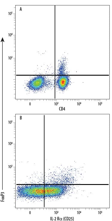 Human peripheral blood mononuclear cell (PBMC) natural regulatory T cells (Tregs) were surface stained with (A) Mouse Anti-Human CD4 Fluorescein-conjugated Monoclonal Antibody (Catalog # FAB3791F) and (B) Mouse Anti-Human IL-2 Ra (CD25) APC-conjugated Monoclonal Antibody (Catalog # FAB1020A), followed by intracellular staining using Rabbit Anti-Human/Mouse FoxP3 PE-conjugated Monoclonal Antibody (Catalog # IC8214P). To facilitate intracellular staining, cells were fixed and permeabilized with FlowX FoxP3 Fixation & Permeabilization Buffer Kit (Catalog # FC012). Cells were gated on lymphocytes.