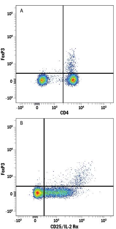 Human peripheral blood mononuclear cell (PBMC) natural regulatory T cells (Tregs) were surface stained with (A) Mouse Anti-Human CD4 PE-conjugated Monoclonal Antibody (Catalog # FAB3791P) and (B) Mouse Anti-Human IL-2 Ra (CD25) PE-conjugated Monoclonal Antibody (Catalog # FAB1020P), followed by intracellular staining using Rabbit Anti-Human/Mouse FoxP3 Alexa Fluor® 647-conjugated Monoclonal Antibody (Catalog # IC8214R). To facilitate intracellular staining, cells were fixed and permeabilized with FlowX FoxP3 Fixation & Permeabilization Buffer Kit (Catalog # FC012). Cells were gated on lymphocytes.