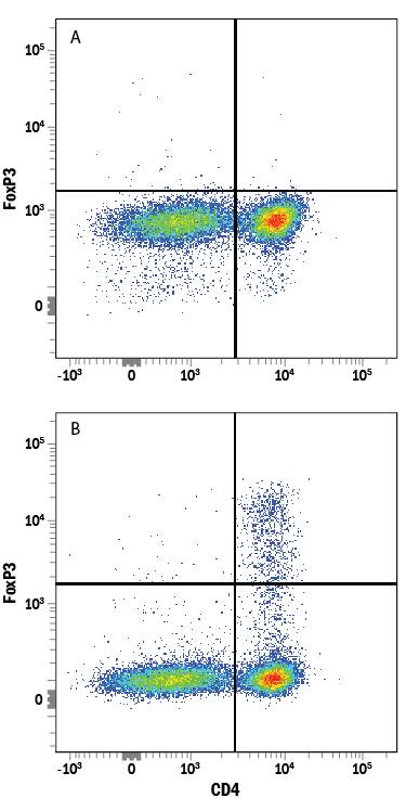 Flow Cytometry FoxP3 Antibody (1054C) [Unconjugated]