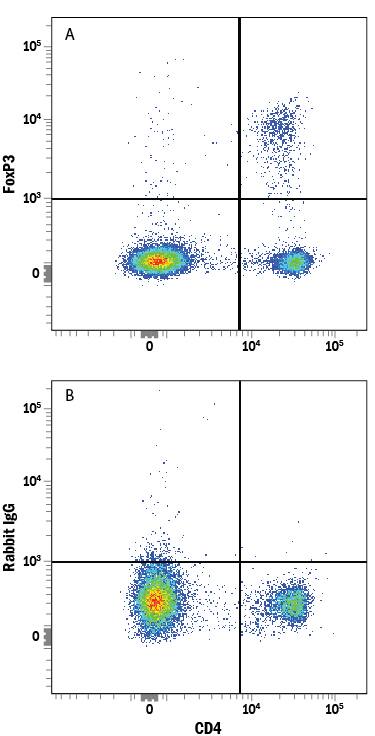 Flow Cytometry FoxP3 Antibody (1054C) [Unconjugated]