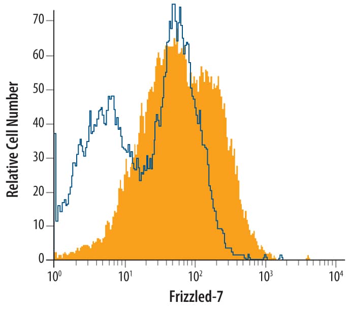 HEK293 human embryonic kidney cell line was stained with Sheep Anti-Human Frizzled-7 Antigen Affinity-purified Polyclonal Antibody (Catalog # AF6178, filled histogram) or control antibody (Catalog # 5-001-A, open histogram), followed by Allophycocyanin-conjugated Anti-Sheep IgG Secondary Antibody (Catalog # F0127).