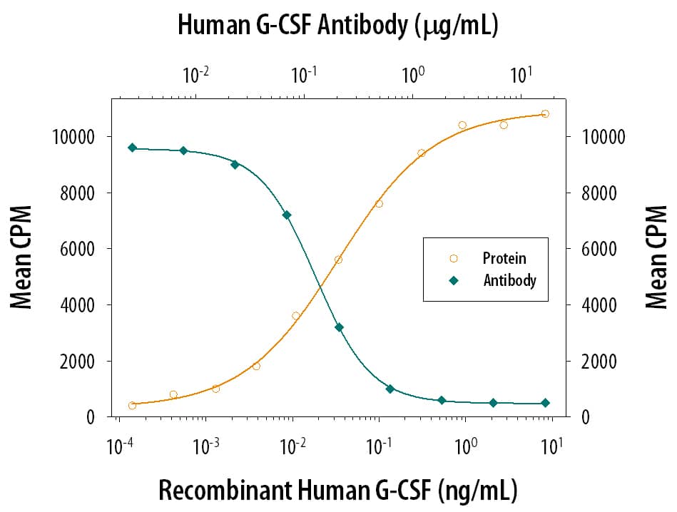 Recombinant Human G-CSF (Catalog # 214-CS) stimulates proliferation in the NFS60 mouse myeloid cell line in a dose-dependent manner (orange line). Proliferation elicited by Recombinant Human G-CSF (0.125 ng/mL) is neutralized (green line) by increasing concentrations of Human G-CSF Polyclonal Antibody (Catalog # AB-214-NA). The ND50 is typically 0.1-0.3 µg/mL.