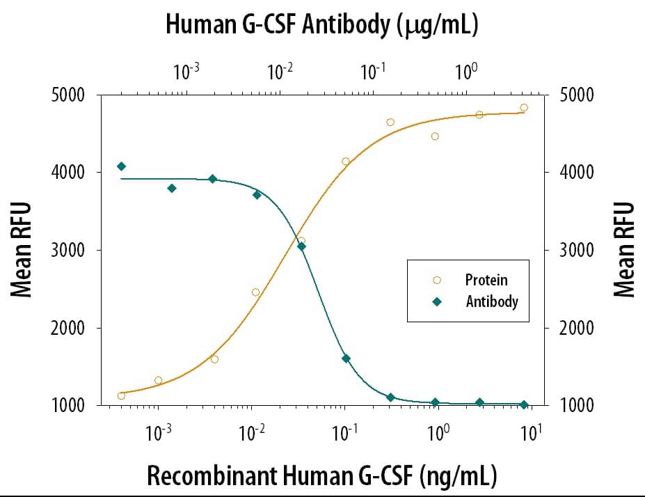 Recombinant Human G-CSF (Catalog # 214-CS) stimulates proliferation in the NFS-60 mouse myeloid cell line in a dose-dependent manner (orange line). Proliferation elicited by Recombinant Human G-CSF (0.125 ng/mL) is neutralized (green line) by increasing concentrations of Goat Anti-Human G-CSF Antigen Affinity-purified Polyclonal Antibody (Catalog # AF-214-NA). The ND50 is typically 8-48 ng/mL.