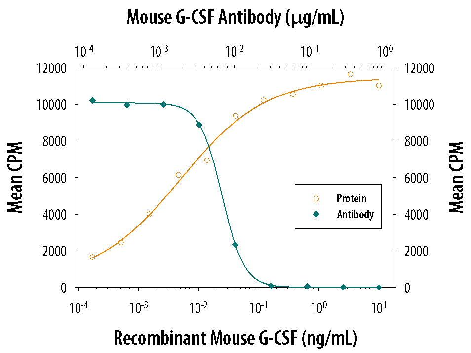 Recombinant Mouse G-CSF (Catalog # 414-CS) stimulates proliferation in the NFS-60 mouse myeloid cell line in a dose-dependent manner (orange line). Proliferation elicited by Recombinant Mouse G-CSF (0.125 ng/mL) is neutralized (green line) by increasing concentrations of Goat Anti-Mouse G-CSF Antigen Affinity-purified Polyclonal Antibody (Catalog # AF-414-NA). The ND50 is typically 0.0025-0.0075 µg/mL.