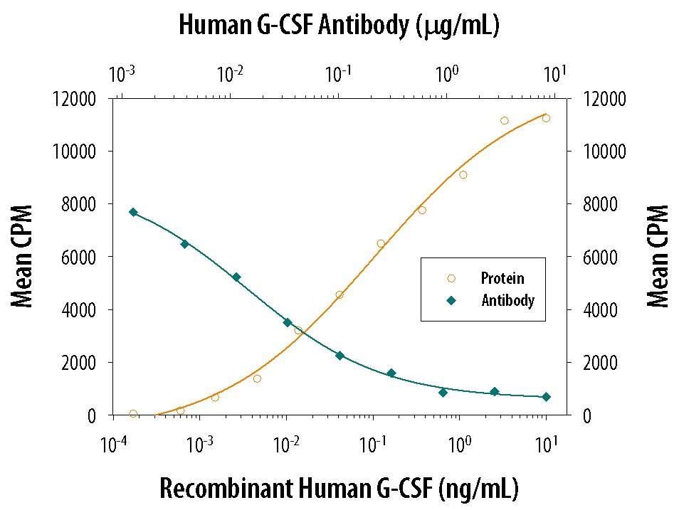 Recombinant Human G-CSF (Catalog # 214-CS) stimulates proliferation in the NFS-60 mouse myeloid cell line in a dose-dependent manner (orange line). Proliferation elicited by Recombinant Human G-CSF (0.125 ng/mL) is neutralized (green line) by increasing concentrations of Mouse Anti-Human G-CSF Monoclonal Antibody (Catalog # MAB214). The ND50 is typically 0.01-0.03 µg/mL.