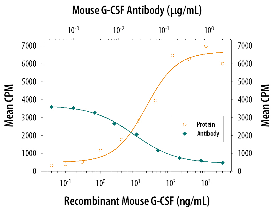 Recombinant Mouse G-CSF (Catalog # 414-CS) stimulates proliferation in the NFS-60 mouse myeloid cells line in a dose-dependent manner (orange line). Proliferation elicited by Recombinant Mouse G-CSF (125 pg/mL) is neutralized (green line) by increasing concentrations of Mouse G-CSF Monoclonal Antibody (Catalog # MAB414). The ND50 is typically 0.01-0.03 µg/mL.