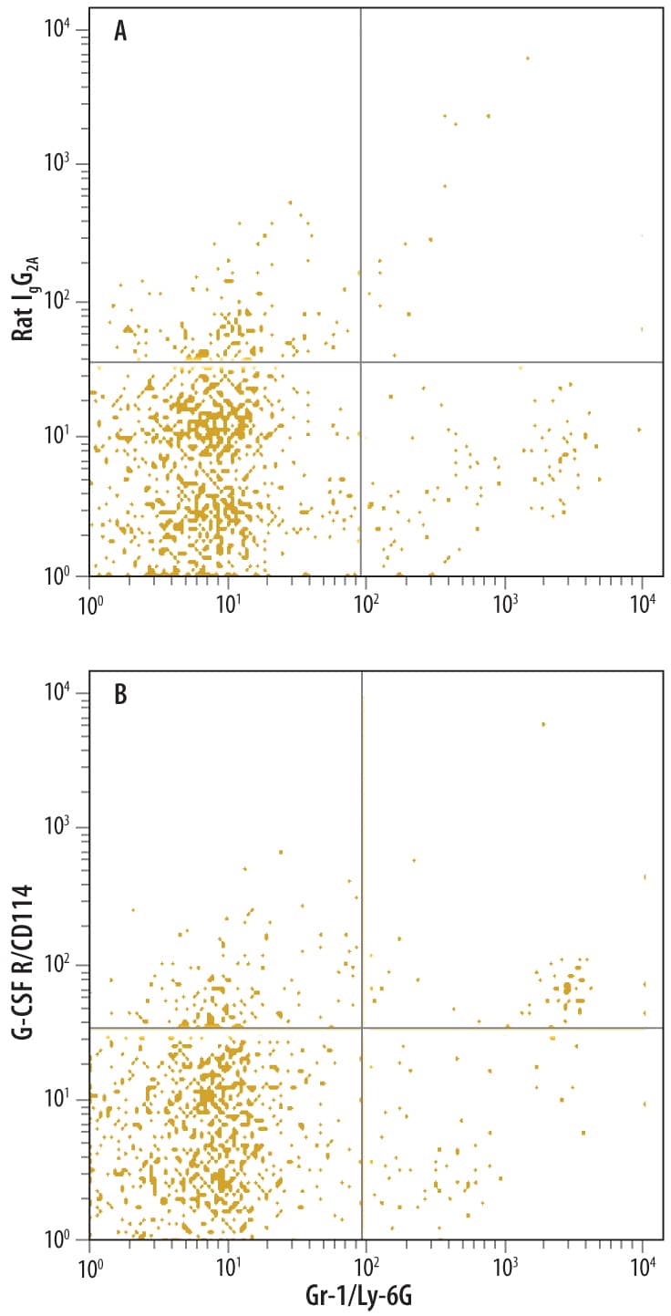Mouse splenocytes were stained with Rat Anti-Mouse Gr-1/Ly-6G APC-conjugated Monoclonal Antibody (Catalog # FAB1037A) and either (A) Rat IgG2A Isotype Control (Catalog # MAB006) or (B) Rat Anti-Mouse G-CSF R/CD114 Monoclonal Antibody (Catalog # MAB60391) followed by Phycoerythrin-conjugated Anti-Rat IgG Secondary Antibody (Catalog # F0105B).