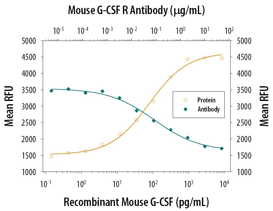 Recombinant Mouse G-CSF (Catalog # 414-CS) stimulates proliferation in the NFS-60 mouse myeloid cell line in a dose-dependent manner (orange line). Proliferation elicited by Recombinant Mouse G-CSF (0.15 ng/mL) is neutralized (green line) by increasing concentrations of Rat Anti-Mouse G-CSF R/CD114 Monoclonal Antibody (Catalog # MAB6039). The ND50 is typically 0.015-0.075 µg/mL.