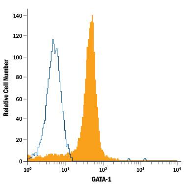MG-63 human osteosarcoma cell line was stained with Rat Anti-Human GATA-1 PE-conjugated Monoclonal Antibody (Catalog # IC1779P, filled histogram) or isotype control antibody (Catalog # IC013P, open histogram). To facilitate intracellular staining, cells were fixed with Flow Cytometry Fixation Buffer (Catalog # FC004) and permeabilized with Flow Cytometry Permeabilization/Wash Buffer I (Catalog # FC005). View our protocol for Staining Intracellular Molecules.