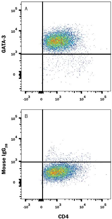 Th2-stimulated human peripheral blood mononuclear cells (PBMCs) were stained with Mouse Anti-Human CD4 Alexa Fluor® 700-conjugated Monoclonal Antibody (Catalog # FAB3791N) and either (A) Mouse Anti-Human GATA-3 APC-conjugated Monoclonal Antibody (Catalog # IC63301A) or (B) Mouse IgG2BAllophycocyanin Isotype Control (Catalog # IC0041A). To facilitate intracellular staining, cells were fixed and permeabilized with FlowX FoxP3 Fixation & Permeabilization Buffer Kit (Catalog # FC012). View our protocol for Staining Intracellular Molecules.