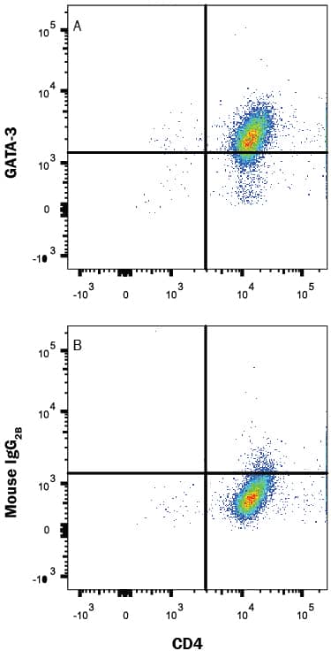 Human peripheral blood mononuclear cells (PBMCs) stimulated to induce Th2 cells were stained with Mouse Anti-Human CD4 PE-conjugated Monoclonal Antibody (FAB3791P) and either (A) Mouse Anti-Human GATA-3 Monoclonal Antibody (Catalog # MAB26052) or (B) Mouse IgG2BFlow Cytometry Isotype Control (MAB0041) followed by Allophycocyanin-conjugated Anti-Mouse IgG Secondary Antibody (F0101B). To facilitate intracellular staining, cells were fixed and permeabilized with FlowX FoxP3 Fixation & Permeabilization Buffer Kit (FC012). View our protocol for Staining Intracellular Molecules.
