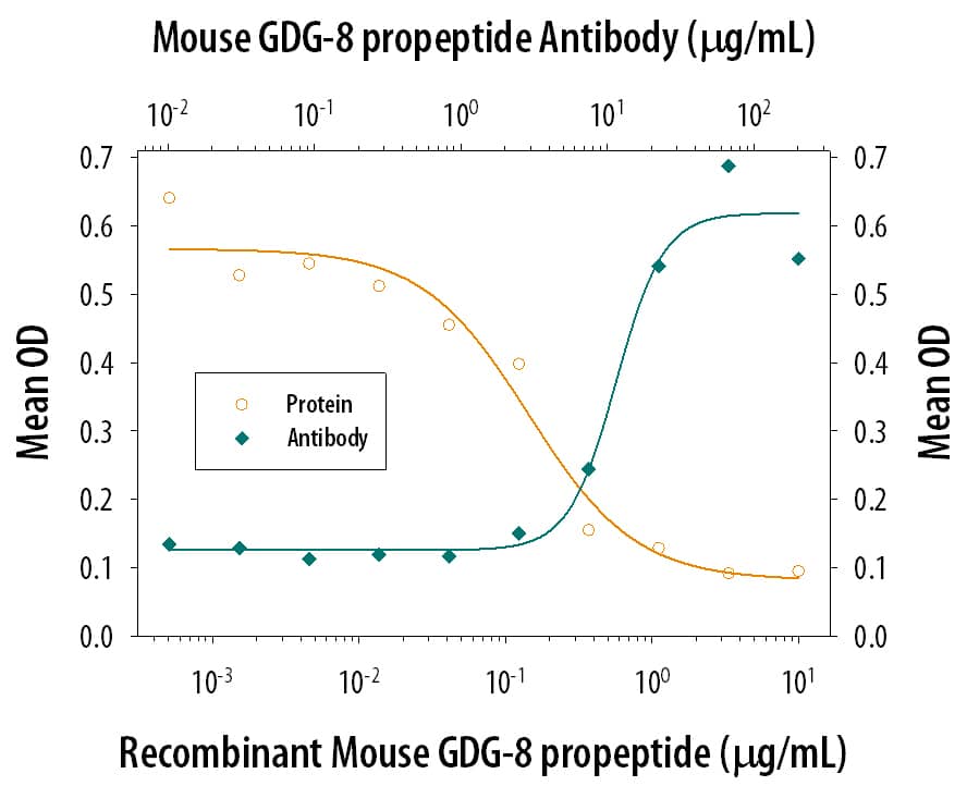 Neutralization GDF-8/Myostatin Antibody - Propeptide