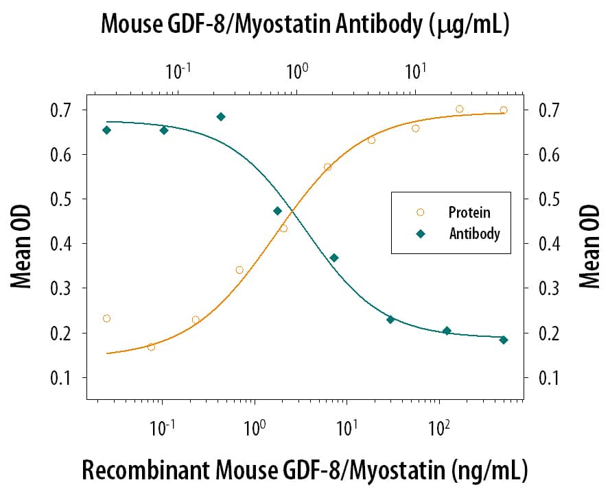 Neutralization GDF-8/Myostatin Antibody [Unconjugated]
