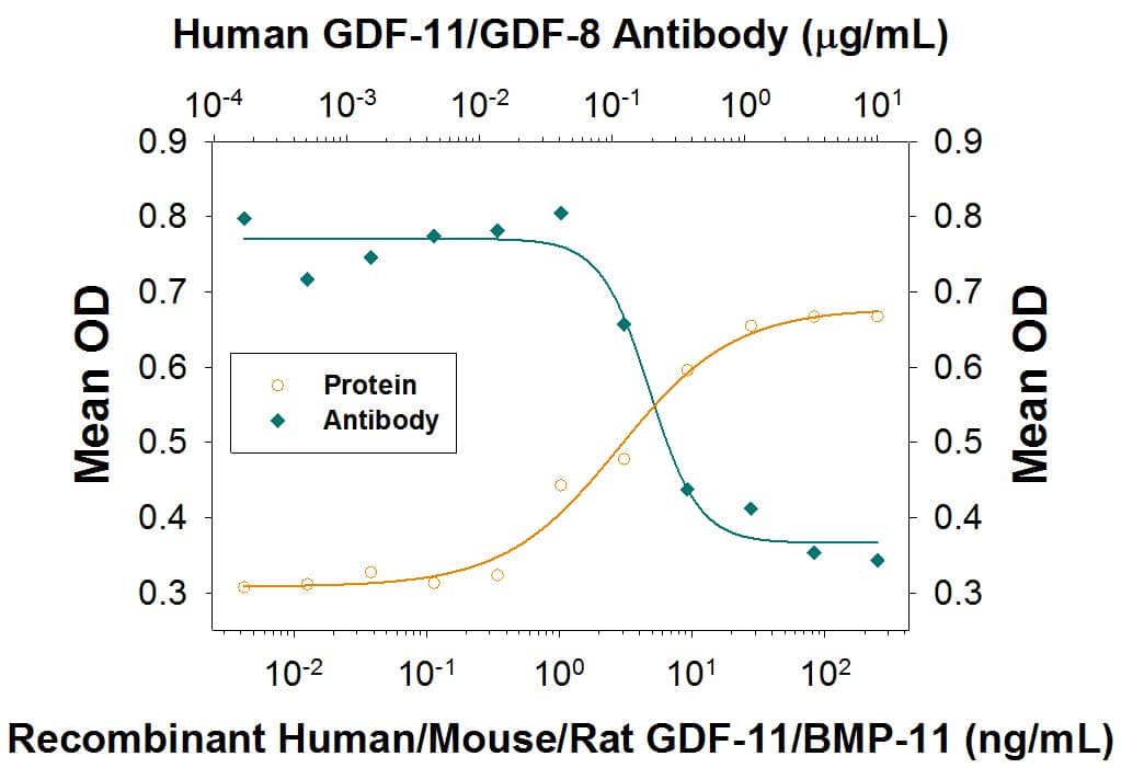 Recombinant Human GDF-11/BMP-11 (Catalog # 1958-GD) induces hemoglobin expression in the K562 human chronic myelogenous leukemia cell line in a dose-dependent manner (orange line), as measured by the pseudoperoxidase assay. Induction of hemoglobin expression by GDF-11/BMP-11 (25 ng/mL) is neutralized (green line) by increasing concentrations of Mouse Anti-Human GDF-11/GDF-8 Monoclonal Antibody (Catalog # MAB19582R). The ND50 is typically 0.04-0.2 µg/mL. This antibody also neutralizes GDF-8 in a similar K562 bioassay.