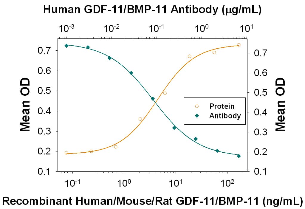 Recombinant Human GDF-11/BMP-11 (Catalog # 1958-GD) induces hemoglobin expression in the K562 human chronic myelogenous leukemia cell line in a dose-dependent manner (orange line), as measured by the pseudoperoxidase assay. Induction of hemoglobin expression by GDF-11/BMP-11 (25 ng/mL) is neutralized (green line) by increasing concentrations of Mouse Anti-Human GDF-11/GDF-8 Monoclonal Antibody (Catalog # MAB19582). The ND50 is typically 0.04-0.2 µg/mL. This antibody also neutralizes GDF-8 in a similar K562 bioassay.