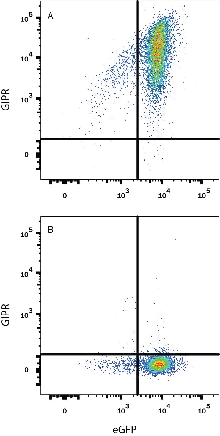Flow Cytometry GIPR Antibody (591853) [Unconjugated]