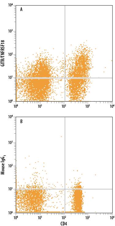Human peripheral blood mononuclear cells (PBMCs) treated with 5 µg/mL PHA for 5 days were stained with Mouse Anti-Human CD4 PE-conjugated Monoclonal Antibody (FAB3791P) and either (A) Mouse Anti-Human GITR/TNFRSF18 Alexa Fluor® 700-conjugated Monoclonal Antibody (Catalog # FAB689N) or (B) Mouse IgG1Alexa Fluor 700 Isotype Control (IC002N). View our protocol for Staining Membrane-associated Proteins.