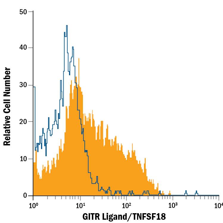 Human umbilical vein endothelial cells were stained with Mouse Anti-Human GITR Ligand/TNFSF18 Fluorescein-conjugated Monoclonal Antibody (Catalog # FAB6941F, filled histogram) or isotype control antibody (Catalog # IC002F, open histogram). View our protocol for Staining Membrane-associated Proteins.