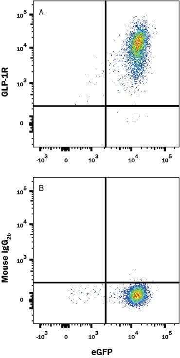 HEK293 human embryonic kidney cell line transfected with human GLP-1R and eGFP was stained with and either (A) Mouse Anti-Human GLP-1R Monoclonal Antibody (Catalog # MAB2814) or (B) Mouse IgG2BFlow Cytometry Isotype Control (Catalog # MAB0041) followed by Allophycocyanin-conjugated Anti-Mouse IgG Secondary Antibody (Catalog # F0101B). View our protocol for Staining Membrane-associated Proteins.