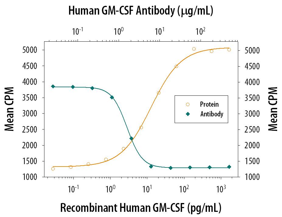 Recombinant Human GM-CSF (Catalog # 215-GM) stimulates proliferation in the TF-1 human erythroleukemic cell line in a dose-dependent manner (orange line). Proliferation elicited by Recombinant Human GM-CSF (0.5 ng/mL) is neutralized (green line) by increasing concentrations of Human GM-CSF Polyclonal Antibody (Catalog # AB-215-NA). The ND50 is typically 1-6 µg/mL.