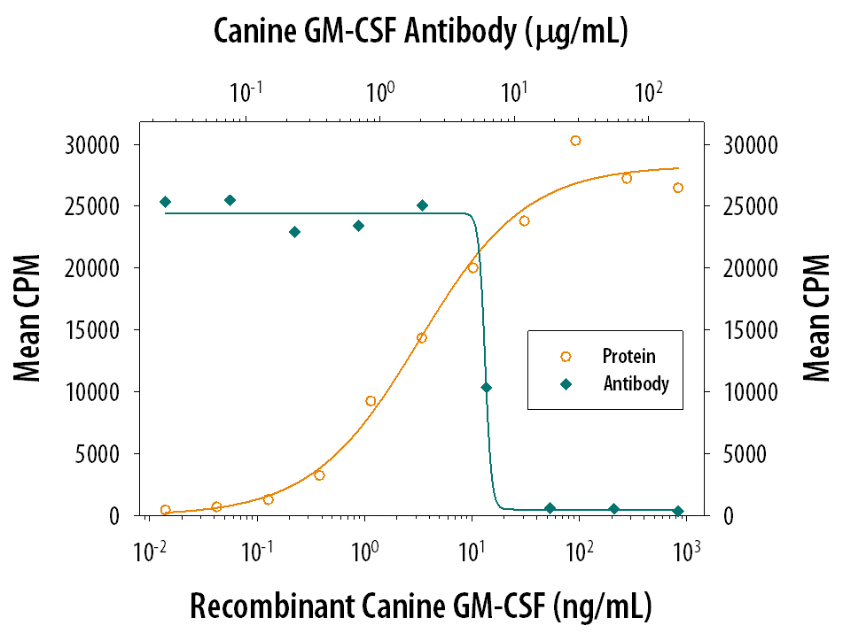 Recombinant Canine GM-CSF (Catalog # 1546-GM) stimulates proliferation in the TF-1 human erythroleukemic cell line in a dose-dependent manner (orange line). Proliferation elicited by Recombinant Canine GM-CSF (15 ng/mL) is neutralized (green line) by increasing concentrations of Goat Anti-Canine GM-CSF Antigen Affinity-purified Polyclonal Antibody (Catalog # AF1546). The ND50 is typically 2-8 µg/mL.