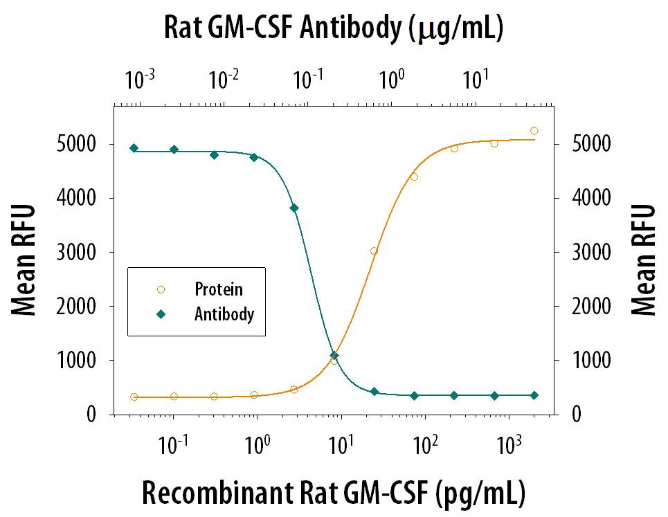 Recombinant Rat GM-CSF induces proliferation in the DA3 mouse myeloma cell line in a dose-dependent manner (orange line), as measured by the Resazurin (Catalog # AR002). Under these conditions, proliferation elicited by rrGM-CSF is neutralized (green line) by increasing concentrations of Goat Anti-Rat GM-CSF Antigen Affinity-purified Polyclonal Antibody (Catalog # AF518). The ND50 is typically 0.1-0.6 ug/mL.