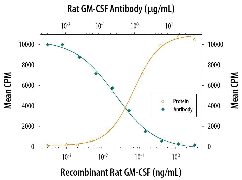 Recombinant Rat GM‑CSF (Catalog # 518-GM) stimulates proliferation in the DA3 mouse myeloma cell line in a dose-dependent manner (orange line). Proliferation elicited by Recombinant Rat GM‑CSF (0.5 ng/mL) is neutralized (green line) by increasing concentrations of Rat GM‑CSF Monoclonal Antibody (Catalog # MAB518). The ND50 is typically 0.2-0.8 µg/mL.