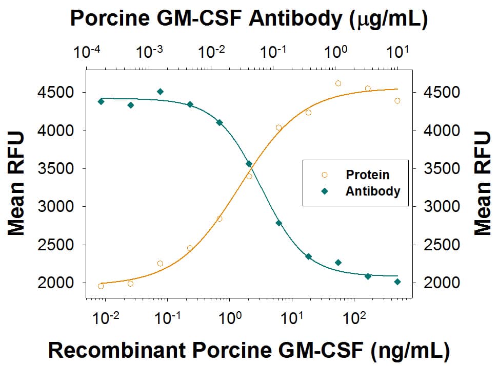 Recombinant Porcine GM-CSF (Catalog # 711-PG) stimulates proliferation in the TF-1 human erythroleukemic cell line in a dose-dependent manner (orange line) as measured by Resazurin (Catalog # AR002). Proliferation elicited by Recombinant Porcine GM-CSF (10 ng/mL) is neutralized (green line) by increasing concen-trations of Rabbit Anti-Porcine GM-CSF Monoclonal Antibody (Catalog # MAB7111). The ND50 is typically 0.02-0.1 µg/mL.