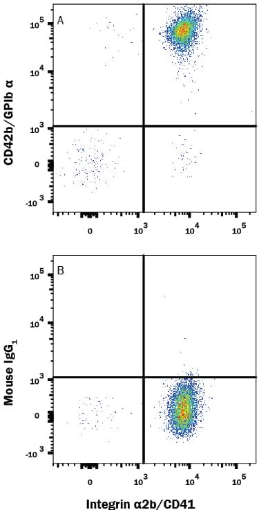 Human CD41+platelets were stained with Mouse Anti-Human Integrin a2b/CD41 PE-conjugated Monoclonal Antibody (Catalog # FAB7616P) and either (A) Mouse Anti-Human CD42b/GPIb a Monoclonal Antibody (Catalog # MAB4067) or (B) Mouse IgG1Isotype Control (Catalog # MAB002) followed by Allophycocyanin-conjugated Anti-Mouse IgG Secondary Antibody (Catalog # F0101B). View our protocol for Staining Membrane-associated Proteins.