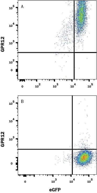 Flow Cytometry GPR12 Antibody (584940) [Unconjugated]