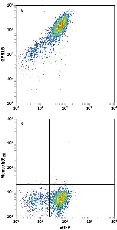 Flow Cytometry GPR15 Antibody (367902) [Unconjugated]