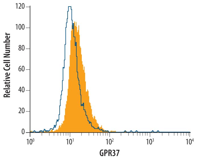 A172 human glioblastoma cell line was stained with Mouse Anti-Human GPR37 Monoclonal Antibody (Catalog # MAB4450, filled histogram) or isotype control antibody (Catalog # MAB003, open histogram), followed by Phycoerythrin-conjugated Anti-Mouse IgG F(ab')2Secondary Antibody (Catalog # F0102B). To facilitate intracellular staining, cells were fixed with paraformaldehyde and permeabilized with saponin.