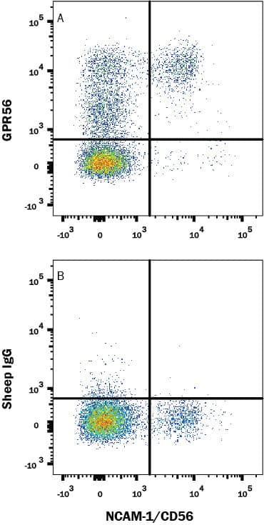Flow Cytometry GPR56 Antibody [Unconjugated]