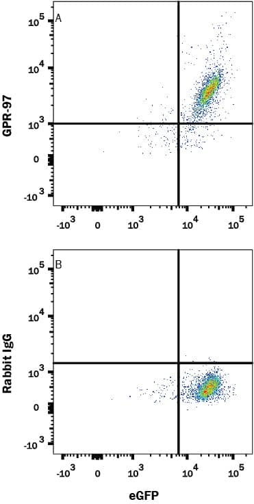 Flow Cytometry GPR97 Antibody (2435C) [Unconjugated]