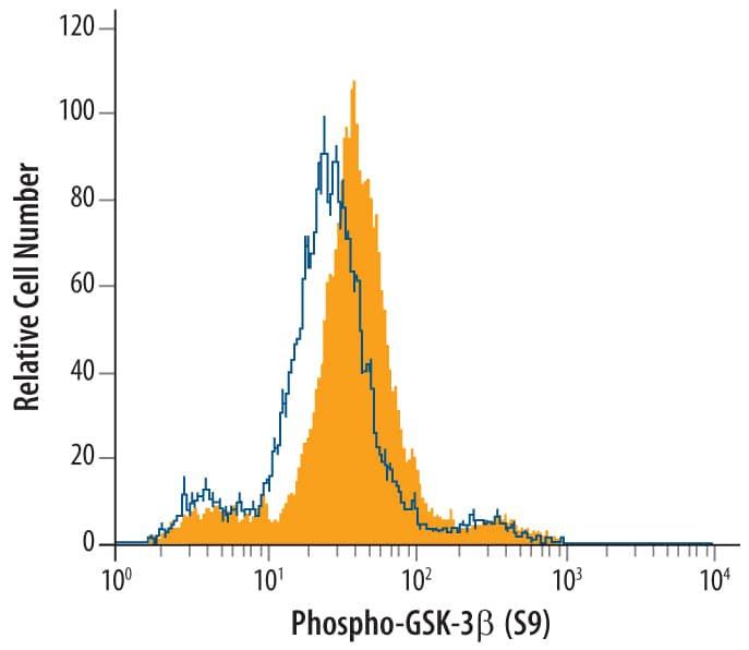 <b>Biological Strategies Validation. </b>HeLa human cervical epithelial carcinoma cell line untreated (open histogram) or treated with 120 ng/mL PMA for 15 minutes (filled histogram) was stained with Human Phospho-GSK-3 beta  (S9) Monoclonal Antibody (Catalog # MAB25062) or isotype control antibody (Catalog # MAB002, not shown), followed by Fluorescein-conjugated Anti-Mouse IgG Secondary Antibody (Catalog # F0103B). To facilitate intracellular staining, cells were fixed with paraformaldehyde and permeabilized with saponin.