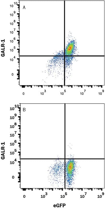 Flow Cytometry Galanin R1/GALR1 Antibody (613207) [Unconjugated]