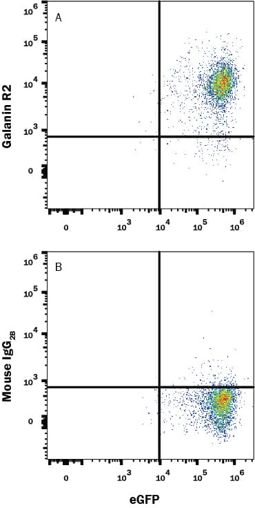 Flow Cytometry Galanin R2/GALR2 Antibody (616520) [Unconjugated]