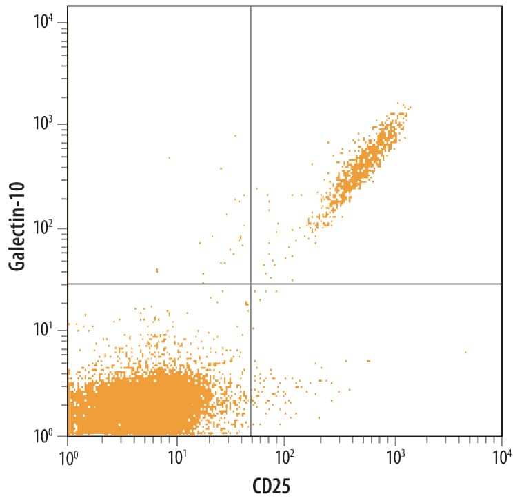 Human peripheral blood lymphocytes were stained with Human Galectin-10 Monoclonal Antibody (Catalog # MAB5447) followed by Fluorescein-conjugated Anti-Mouse IgG Secondary Antibody (Catalog # F0103B) and Human IL-2 Ra APC-conjugated Monoclonal Antibody (Catalog # FAB1020A). Quadrant markers were set based on control antibody staining (Catalog # IC0041Fand IC003A).