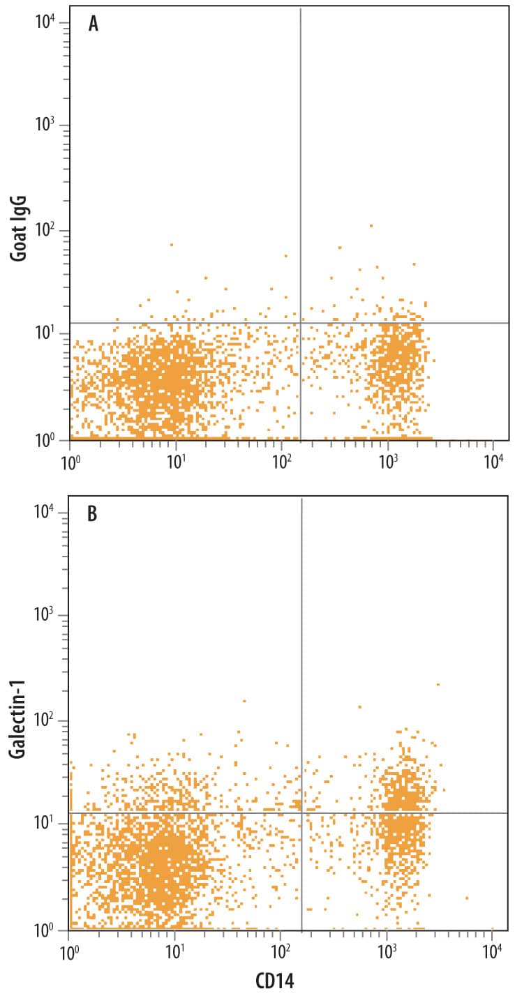 Human peripheral blood monocytes were stained with Mouse Anti-Human CD14 PE-conjugated Monoclonal Antibody (FAB3832P) and either (A) Normal Goat IgG Control (AB-108-C) or (B) Goat Anti-Human Galectin-1 Antigen Affinity-purified Polyclonal Antibody (Catalog # AF1152) followed by Allophycocyanin-conjugated Anti-Goat IgG Secondary Antibody (F0108). To facilitate intracellular staining, cells were fixed with paraformaldehyde and permeabilized with saponin.