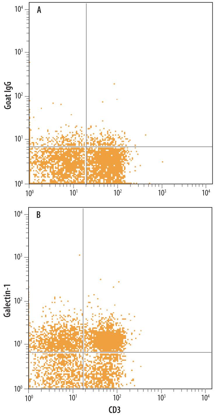 Mouse splenocytes were stained with Rat Anti-Mouse CD3 APC-conjugated Monoclonal Antibody (Catalog # FAB4841A) and either (A) Normal Goat IgG Control (Catalog # AB-108-C) or (B) Goat Anti-Mouse Galectin-1 Antigen Affinity-purified Polyclonal Antibody (Catalog # AF1245) followed by Phycoerythrin-conjugated Anti-Goat IgG Secondary Antibody (Catalog # F0107). To facilitate intracellular staining, cells were fixed with paraformaldehyde and permeabilized with saponin.